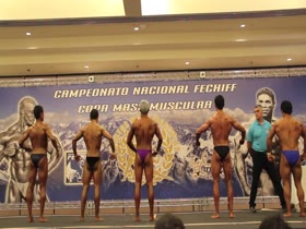 National chilean championship-novice category