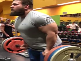 massive bear at gym