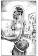 album-cover