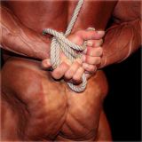 album-cover