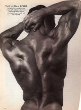 album-cover