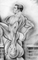 album-cover