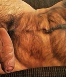 photo-thumb