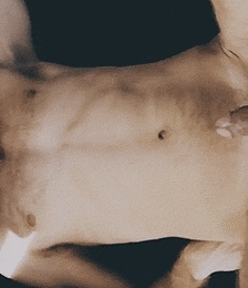 album-cover