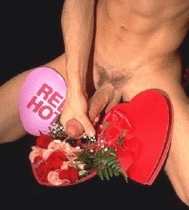 album-cover