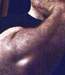 album-cover