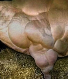 photo-thumb