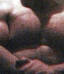 album-cover