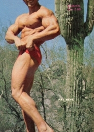 album-cover