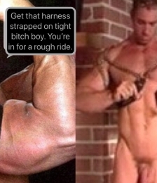album-cover