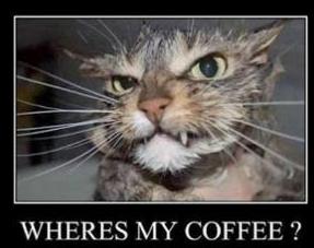 flaquitoboy's Avatar