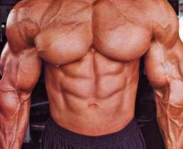 MetalMuscles's Avatar