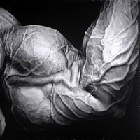 DickDownDad's Avatar