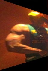 MuscleAnimal's Avatar