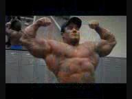 massive gustavo badel