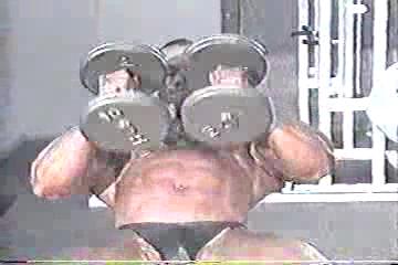 levrone pecs