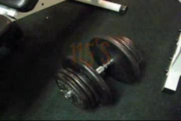 115 Incline DB Press + posing