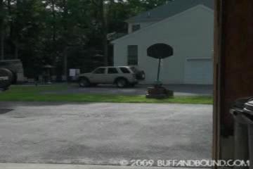 Buff Bodybuilder Bound 