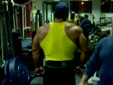 Bernat Scorus Pec Striations From Heaven