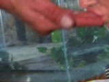 Thumb 7