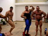 Bodybuilders pose