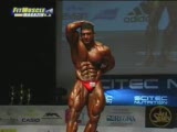 tarek elsetouhi