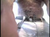 hairy muscle worship