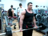 Biceps