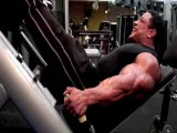 Roelly Winklaar BSN Sponsored Bodybuilder