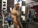 Roelly Winklaar  Gym Posing