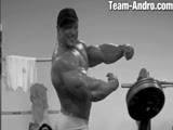 Roelly Winklaar  Muscles in Motion