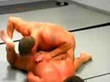 Wrestling II