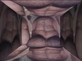 Pec Love Video