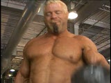 big bis