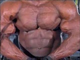 Ronnie Coleman  Pecs
