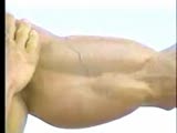 Young Rod Roddick oiling up