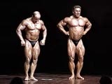 2 Muscle Gods