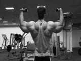 Andreas Frey - Tricep & Shoulders (2)