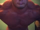 muscle