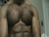 my pec bounce (again)