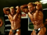 Huge Bodybuilders