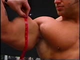 Bicep Feast