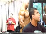 pecs