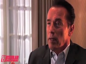 ROIDGUTTED ASIAN MUCLBULL HIDE IN SHINY BLUE POSERS