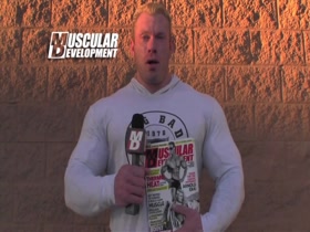 ROIDGUTTED ASIAN MUCLBULL HIDE IN SHINY BLUE POSERS