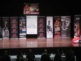 ROIDGUTTED MUSCLEBULL #51 IN SHINY BLACK POSERS (3)