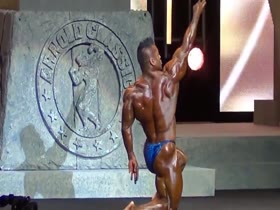 ROIDGUTTED ASIAN MUCLBULL HIDE IN SHINY BLUE POSERS