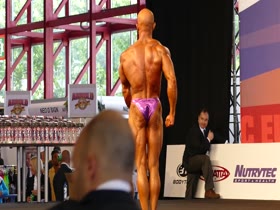 MUSCLEBULL SHINY PURPLE POSERS