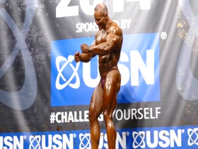 ROIDGUTTED MUSCLEBULL