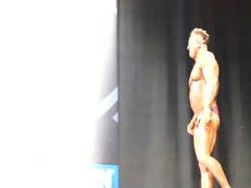 ROIDGUTTED MUSCLEBULL